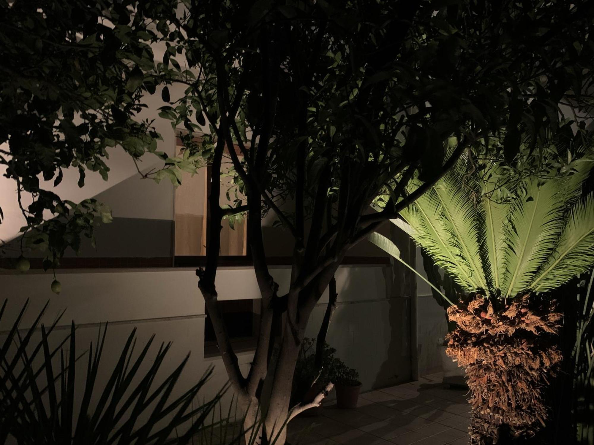Tap Apartments - In Independent House With Private Garden Alghero Luaran gambar