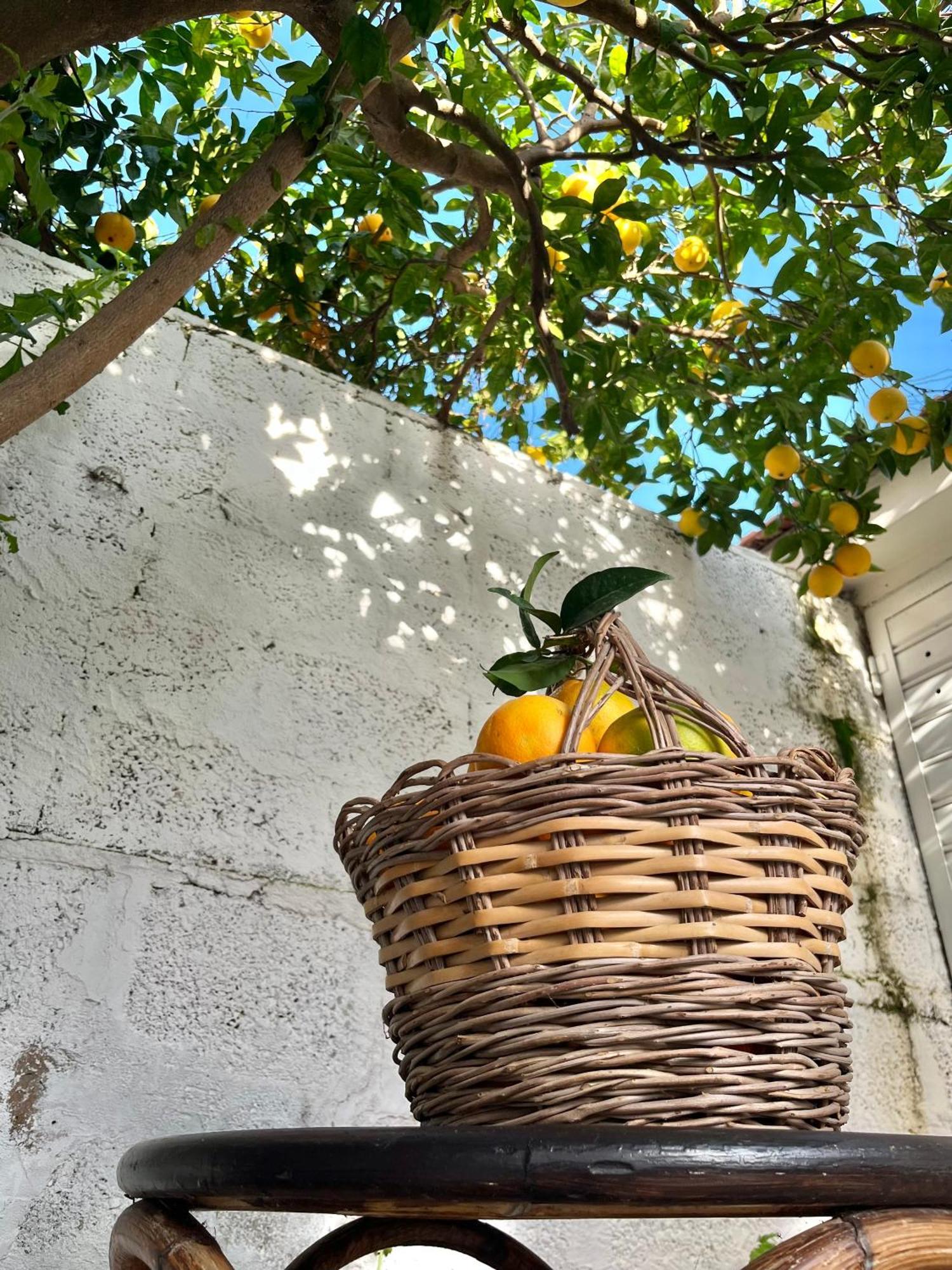 Tap Apartments - In Independent House With Private Garden Alghero Luaran gambar